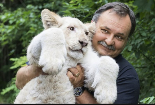 593240090 1406127407535813 5739599200260489854 n.jpg?stp=dst jpg p180x540 tt6& nc cat=111&ccb=1 7& n.jpg