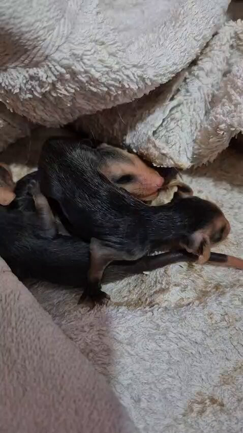 qviEXJZVyAM DEwP.jpg