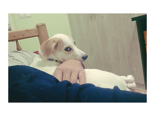 G6SzFSnXUAAX1o ?format=jpg.jpg