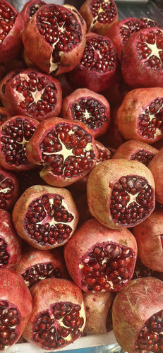 G7AWdh XwAAuU55?format=jpg.jpg