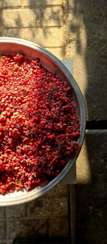 G6 09gKXUAAckU7?format=jpg.jpg