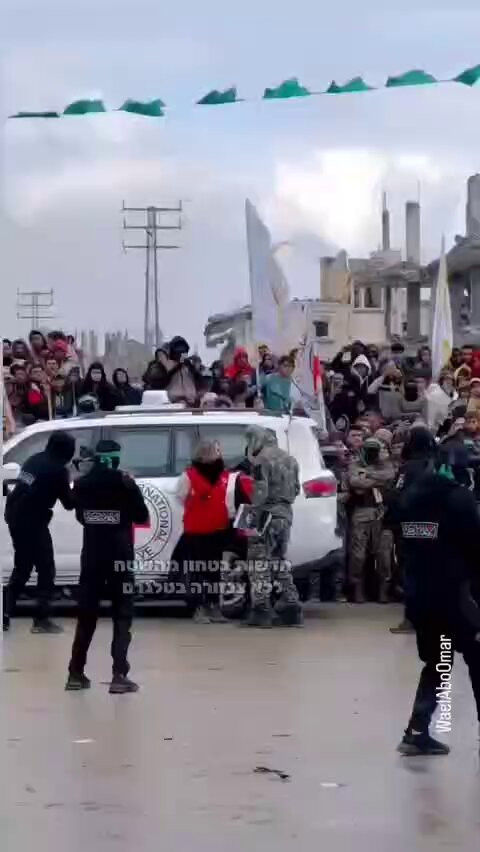 bZpx99YkXia F0od.jpg