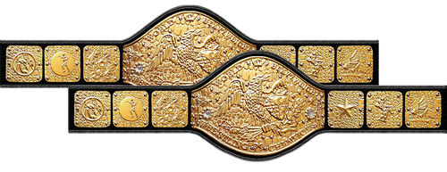  11 1055 ntltgbelt 055 2 (1).png