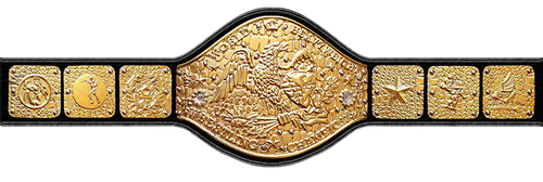  11 1055 ntltgbelt 055 2.png