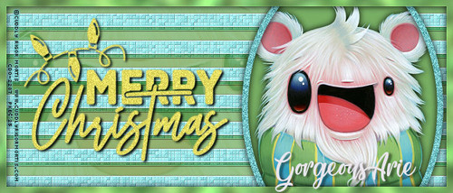 12 01 25 ATP CRM Goregous Arie