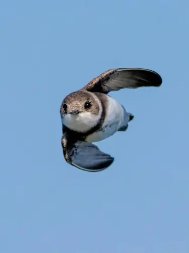 1764735808407 189.webp