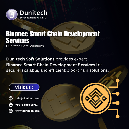 Binance Smart Chain Development Service.png