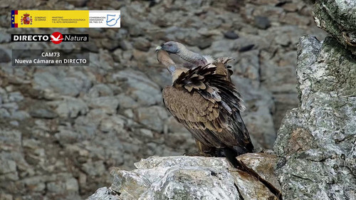 KHoSo70C bgk xEX.jpg