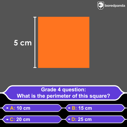 image (19).png