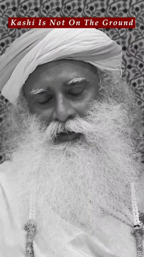 8C7mIzntmzEV14 u.jpg