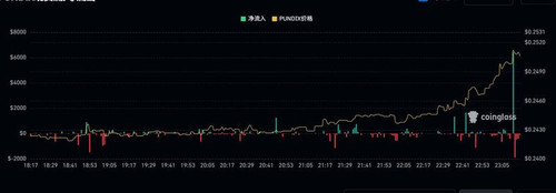 compressed screenshot PUNDIX 231655.jpg