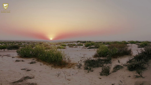 nRf7f t1C3KOaQTQ.jpg