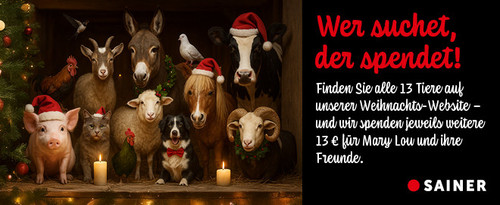 XMas 2025 Sainer DE.jpg