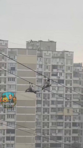 6qh8gv6PmhfgW X7.jpg