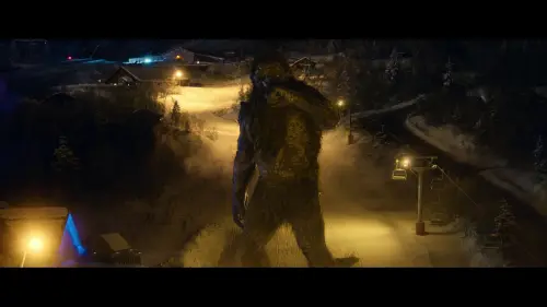 img 692d5092901931.52591427.webp