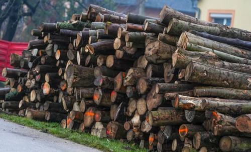 593796769 1394552195375176 7618439729259848971 n.jpg?stp=dst jpg s590x590 tt6& nc cat=109&ccb=1 7& n.jpg