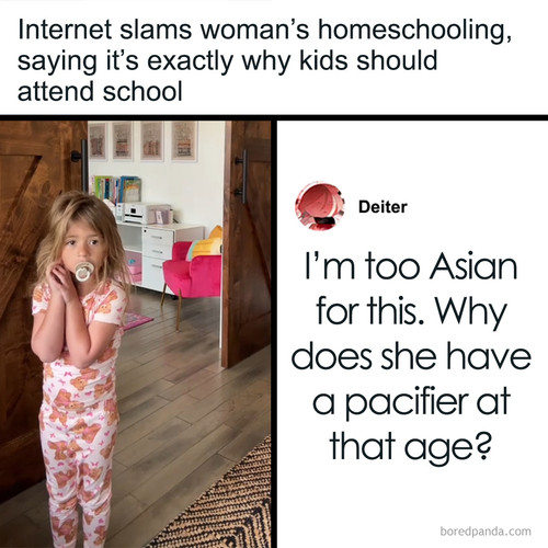 homeschool parenting.jpg