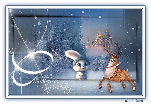 christmas greeting.jpg