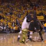 IMG 1729.gif