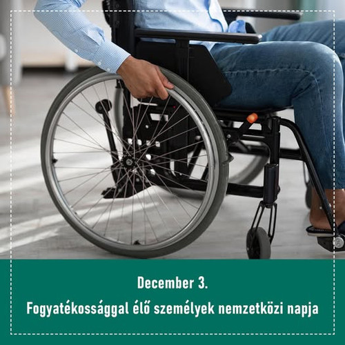 595134809 1394954408668288 6147563466389585823 n.jpg?stp=dst jpg p526x296 tt6& nc cat=108&ccb=1 7& n.jpg