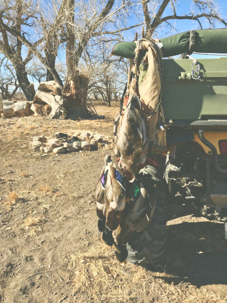 Colorado Guided Goose Hunt - Birds and Bucks Outdoors.jpg