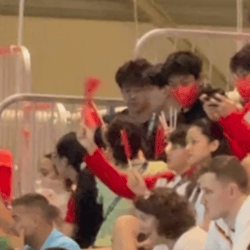 IMG 6629.gif