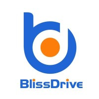blissdrivellc logo.jpg