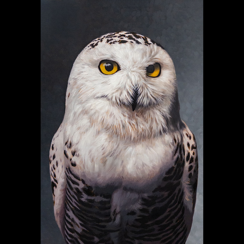 temp kie upload 83d9ed415eac41bc90459ad8672da5af.png