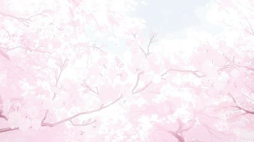 file 19509.jpg