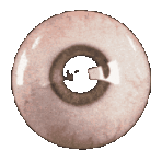eyeball centre.png