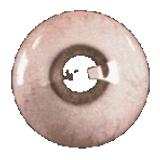 eyeball centre