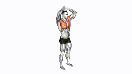 Above Head Chest Stretch.gif