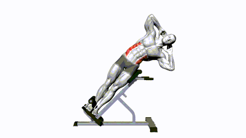 45 Side Bend.gif