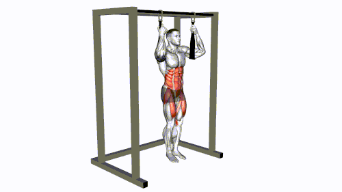 Arm slingers Hanging Straight Legs.gif