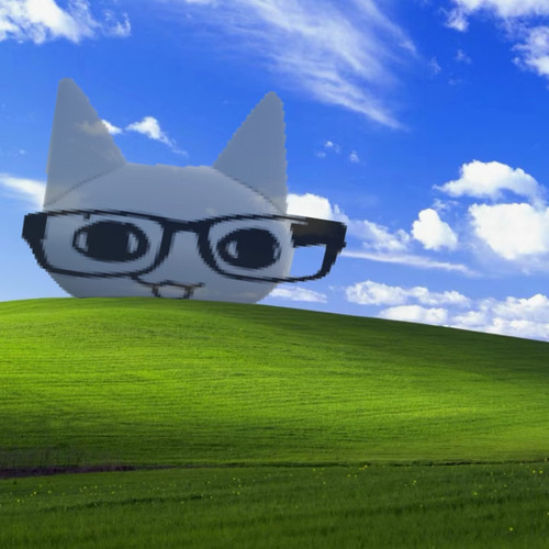 1000023395.jpg