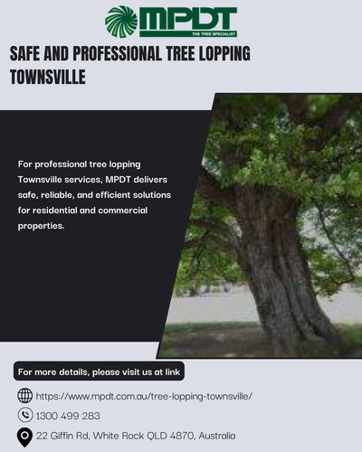 Safe and Professional Tree Lopping Townsville.jpg