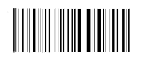 IMG 3499.png