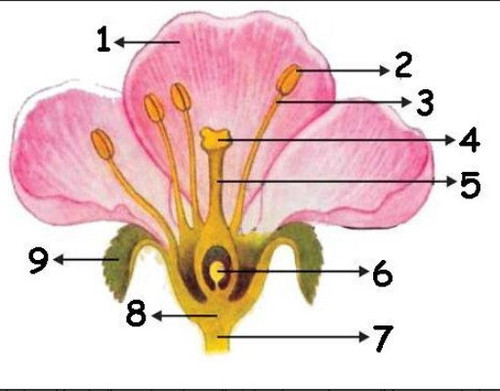 Screenshot 2025 12 03 091250.jpg