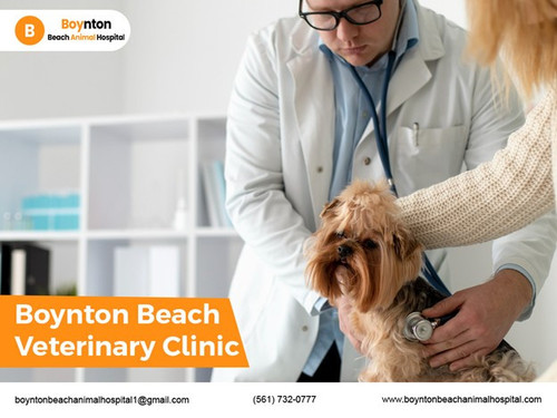 Boynton Beach Veterinary Clinic.jpg