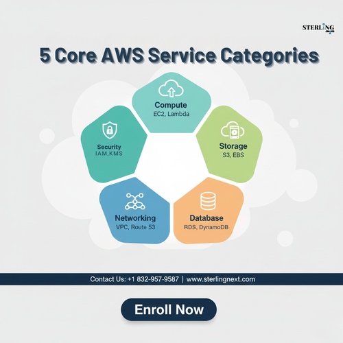 aws5 categories.png