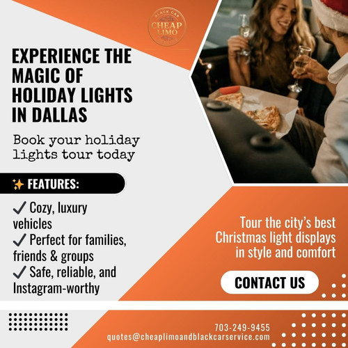 Dallas Christmas Lights Tour.jpg