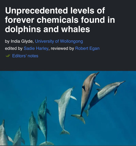 G7O hDSXQAAS3zB.jpg