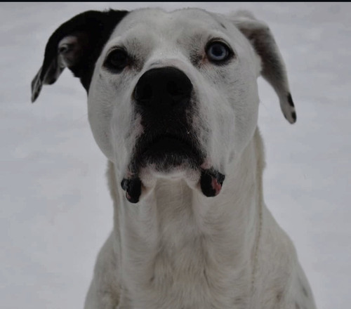 3cb6d6a4 d9b7 446e 859b 29fb58de11e7.jpg