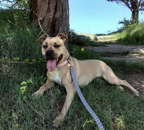 4ebc3df9 8343 427e b8e4 60df7742d615.jpg