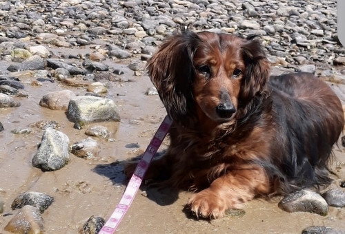 99d323dc 1de3 4236 b888 b71a32bd780f.jpg