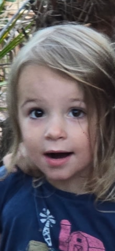 8b6d657d 7b88 49d2 80a2 fdd8d6170596.png