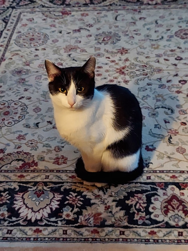 3d8a168b 084f 4db5 a02d 845e36aab334.jpg