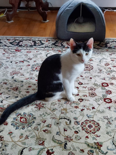 6b72d1f7 e6c8 4ca7 bb29 d5559d44431d.jpg