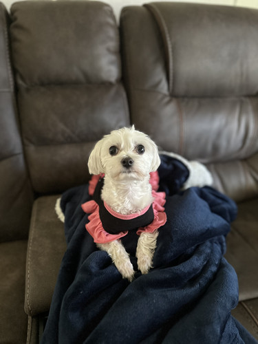 1164869f 5b19 4d64 8bb9 8312cf87d040.jpg