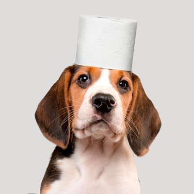 508823dc 62a8 a717 d938 955fd1d6e09f.jpg